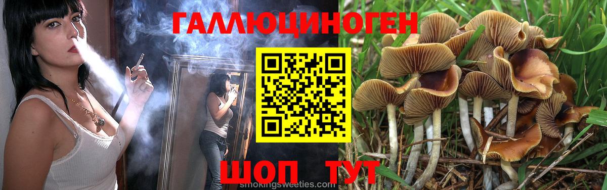 Галлюциногенные грибы ЛСД Амурск