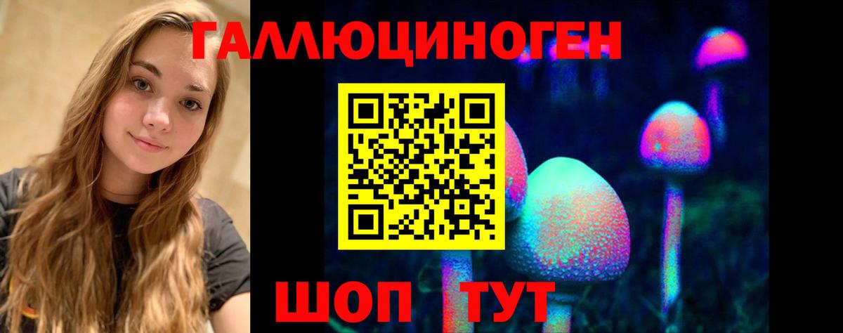 Галлюциногенные грибы MAGIC MUSHROOMS  Псилоцибиновые грибы мицелий  Вход с VPN  Амурск 